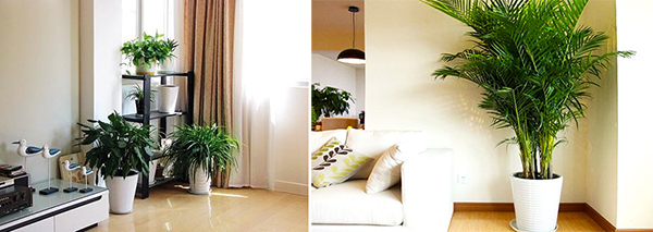 春季北方房屋全面保潔攻略及注意事項(xiàng) 舒特通州開(kāi)荒保潔